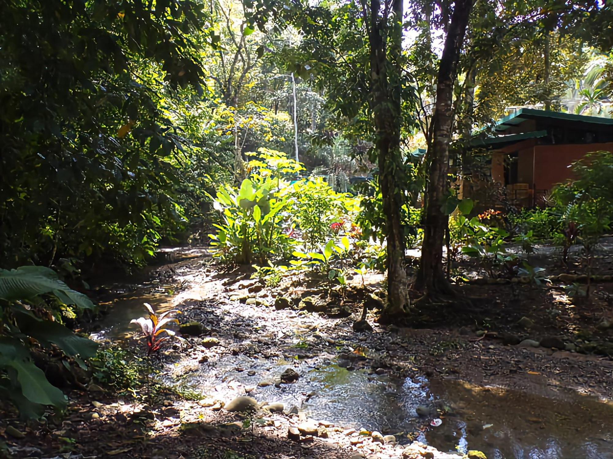 Riverside Villas Manuel Antonio Εξωτερικό φωτογραφία