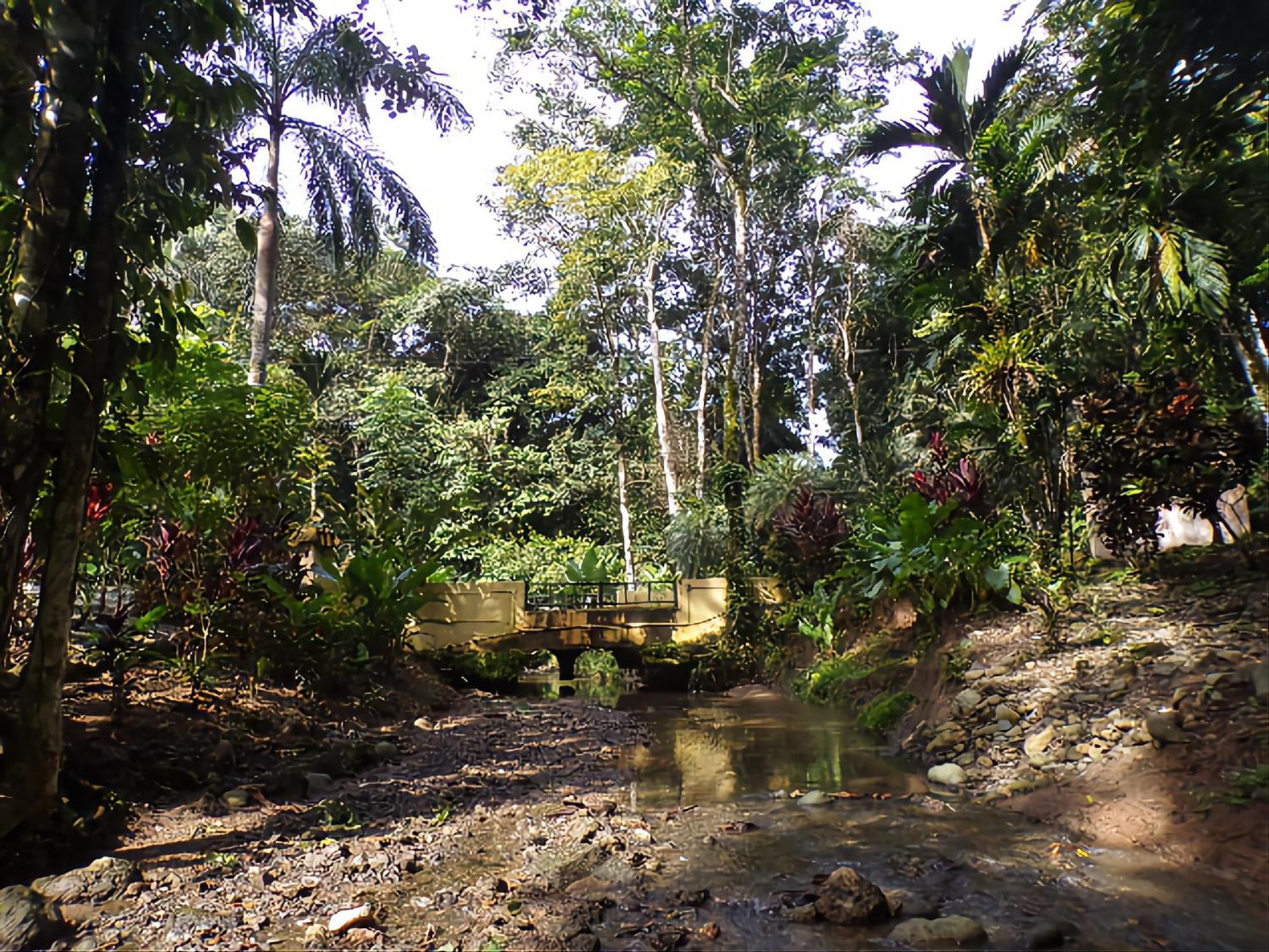 Riverside Villas Manuel Antonio Εξωτερικό φωτογραφία