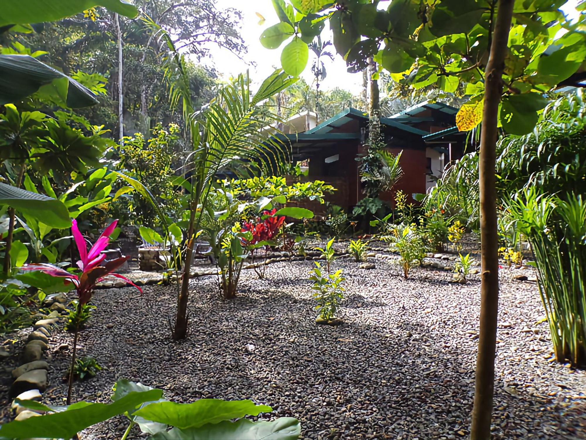 Riverside Villas Manuel Antonio Εξωτερικό φωτογραφία