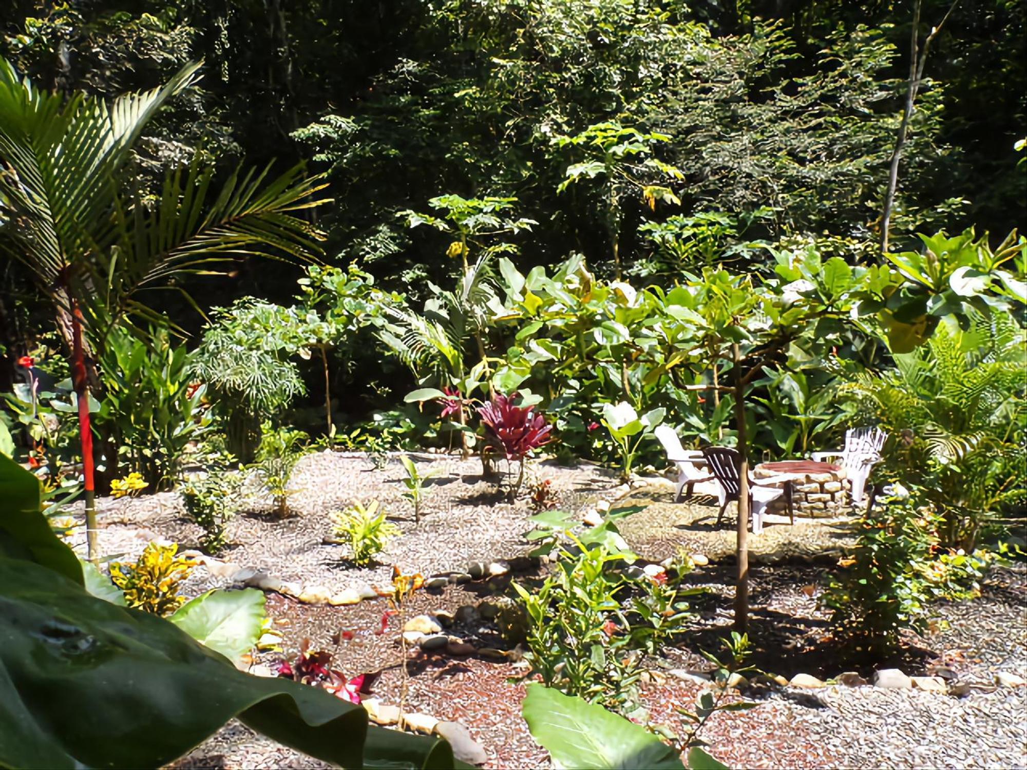 Riverside Villas Manuel Antonio Εξωτερικό φωτογραφία