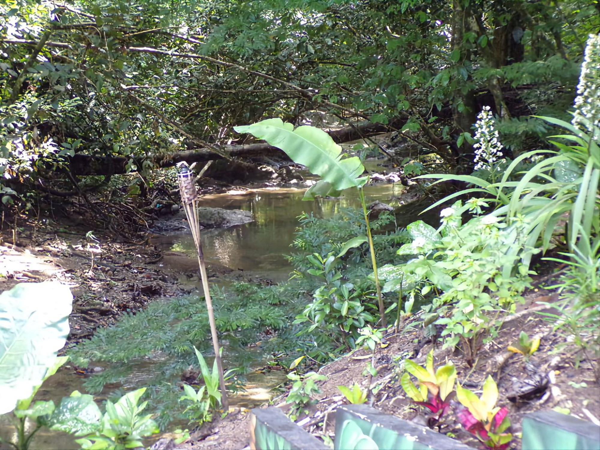 Riverside Villas Manuel Antonio Εξωτερικό φωτογραφία